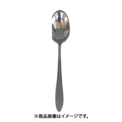 0-19605-000 ヴェルーテ ティースプーン