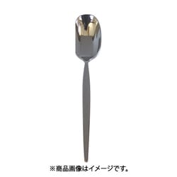 0-12623-000 メテオラ ランチスプーン