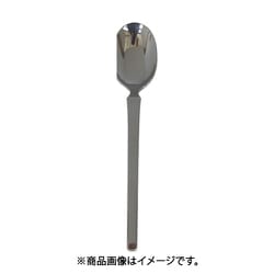 0-16002-000 スカンジ デザートスプーン