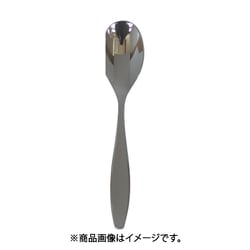 0-09705-000 レイリア ティースプーン