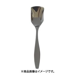 0-09707-000 レイリア アイスクリームスプーン
