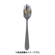 0-08005-000 ニンバス ティースプーン