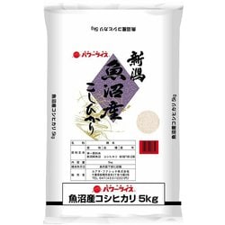 精米 新潟魚沼産コシヒカリ 5kg 令和6年産