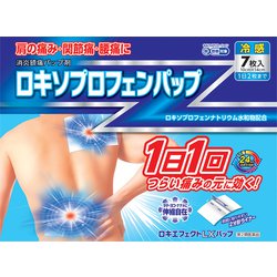 ヨドバシ.com - 大石膏盛堂 ロキエフェクトLXパップ 7枚 [第2類医薬品