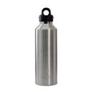 DWF-32101B [真空断熱ボトル REVOMAX2 32oz 950ml ギャラクシーシルバー]