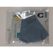 パーソナルカラーMASSCOOL ブルべ ブルーグレー