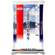 精米 兵庫県産 キヌヒカリ 10kg 令和3年産