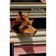 Oxford Bookworms Library 3rd Edition Stage 2 Red Dog [洋書ELT]