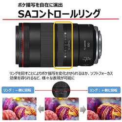 ヨドバシ.com - キヤノン Canon RF100mm F2.8L MACRO IS USM [単焦点