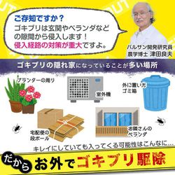 ヨドバシ Com レック Lec バルサン バルサン Gキャップ屋外用 プランツカバー V000 通販 全品無料配達