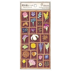 標本箱シール 植物の世界 80702
