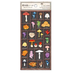 標本箱シール きのこの世界 80705