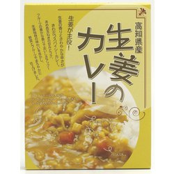 生姜のカレー 200g