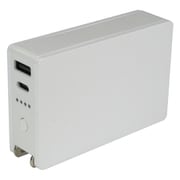 6000mAh ACリチウム充電器 ホワイト DZLAC050-01WH