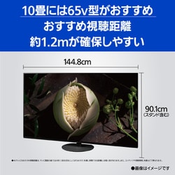 ヨドバシ.com - パナソニック Panasonic VIERA(ビエラ) JZ1000