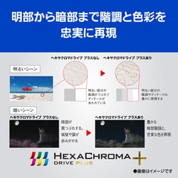 ヨドバシ.com - パナソニック Panasonic VIERA(ビエラ) JZ1000