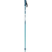 AMT JR AJ5005600 Blue 85cm 2本セット [スキーストック　ジュニア]