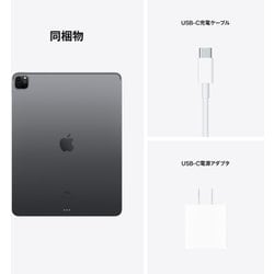 M1 iPadPro 12.9 第5世代　256GB MHNH3J/A AC＋