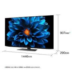 ヨドバシ.com - シャープ SHARP AQUOS(アクオス) DN1シリーズ 65V型 4K液晶テレビ Android TV搭載 倍速対応  4T-C65DN1 通販【全品無料配達】