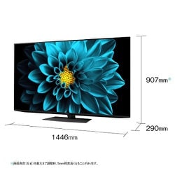 ヨドバシ.com - シャープ SHARP AQUOS(アクオス) DL1シリーズ 65V型 4K液晶テレビ Android TV搭載 4T-C65DL1  通販【全品無料配達】