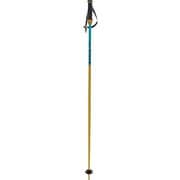 ファンタスティック PHANTASTICK 141005110 YELLOW 16mm 110cm 2本セット [スキー ストック]