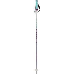 ファンタスティック W PHANTASTICK W 141019100 PURPLE 100cm 2本セット [スキー ストック レディース]