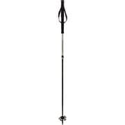 TOURISTICK AA POLES 141028 WH 110-140cm 2本セット [スキー ストック 伸縮式]
