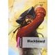 Dominoes 2nd Edition Starter Blackbeard MP3 Pack [洋書ELT]