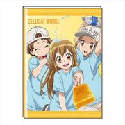 キャラクターグッズ はたらく細胞 B6マンスリースケジュール手帳2022 2021年9月始まり D