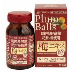 国内産 完熟紀州梅使用 梅エキス 粒 90g