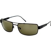 SCHEYDEN MUSTANG Black Titanium Gray Lens [サングラス]