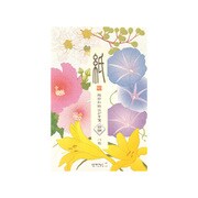 限定 はがき箋592 4柄入 盛夏の花柄 88592006