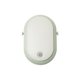 HANGING FAN SAGE 603-4356
