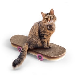 sukp005 [【suck uk】Cat Scratch Skateboard]