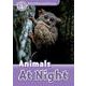 Oxford Read and Discover 4 Animals at Night [洋書ELT]