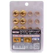 C-TCMMXX-10 [太鼓鋲風ネジキャップ 真鍮メッキ 丸 10個入]