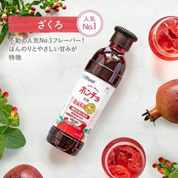 ヨドバシ.com - 大象ジャパン 美味しく飲める ホンチョ ざくろ 500ml