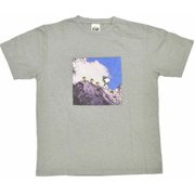 ロックス×ピーナッツ ヨセミテフォトTシャツ ROKX × PEANUTS YOSEMITE PHOTO TEE RXMS214024 GREY Mサイズ [アウトドア カットソー メンズ]