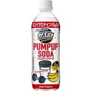 【限定】がぶ飲みPUMP UP SODA 500mlPET 24本/ケース