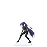 Fate/Grand Order バトルキャラ風アクリルスタンド アサシン/百貌のハサン [キャラクターグッズ]