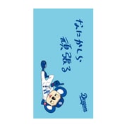 モバイルバッテリー 4000mAh 中日ドラゴンズ 2021年度 なにかしら頑張る dra21cha6-bt