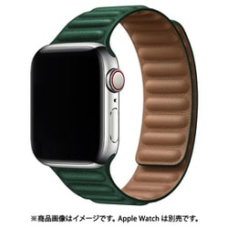 IQ-AWLMG40-GR [AppleWatch マグネットホールドバンド 38/40mm グリーン]