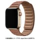 IQ-AWLMG40-BR [AppleWatch マグネットホールドバンド 38/40mm ブラウン]