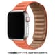 IQ-AWLMG40-OR [AppleWatch マグネットホールドバンド 38/40mm オレンジ]