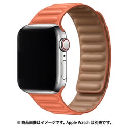 IQ-AWLMG40-OR [AppleWatch マグネットホールドバンド 38/40mm オレンジ]