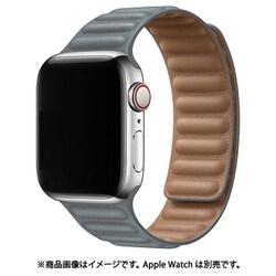 IQ-AWLMG44-GY [AppleWatch マグネットホールドバンド 42/44mm グレー]