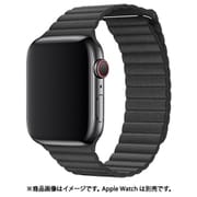 IQ-AWLMGH40-BK [AppleWatch マグネットホールドバンド（通し穴あり） 38/40mm ブラック]
