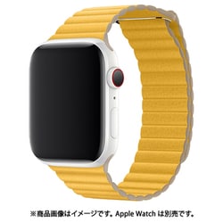 IQ-AWLMGH40-YE [AppleWatch マグネットホールドバンド（通し穴あり） 38/40mm イエロー]
