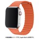 IQ-AWLMGH40-OR [AppleWatch マグネットホールドバンド（通し穴あり） 38/40mm オレンジ]