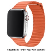 IQ-AWLMGH44-OR [AppleWatch マグネットホールドバンド（通し穴あり） 42/44mm オレンジ]
